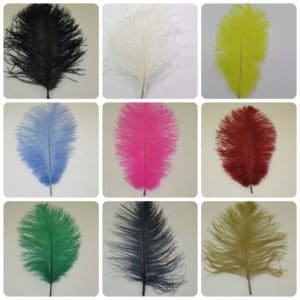 10'' Ostrich Feathers- Packs of 10 - 18 Colours